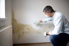 Best Environmental Consulting for Mold Prevention  in Lead, SD